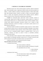 Atestat Materiale Ceramice. Porțelanul - imaginea3