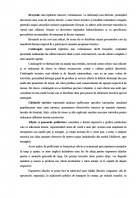 Atestat Materiale publicitare utilizate in agentia de turism - imaginea11