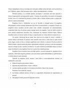 Atestat Studiu privind rolul mijloacelor de antrenament în dezvoltarea capacității de performanță - imaginea19