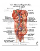 Atestat Peritonita acută - imaginea9