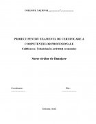 Atestat Surse straine de finantare - imaginea1