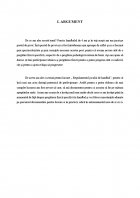 Atestat Jocul de handbal - imaginea4