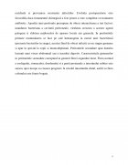 Atestat Peritonita acută - imaginea7