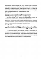 Atestat Violoncel - imaginea11