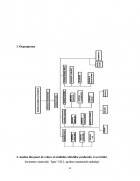 Atestat Contabilitatea ambalajelor - imaginea11