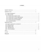 Atestat Machiaj de zi - imaginea3
