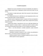 Atestat Tipuri de organigrame - imaginea17