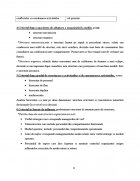 Atestat Tipuri de organigrame - imaginea8