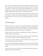 Atestat Politica de promovare Oriflame - imaginea16