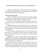 Atestat Dimensiunile pietei - imaginea23