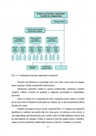 Atestat Managementul calitatii - imaginea55