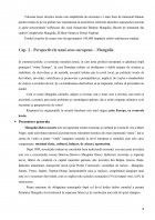 Atestat Turismul clasic, cultural, balnear și de afaceri în orașul Mangalia - imaginea8