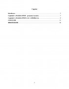 Atestat Analiza SWOT a S.C.  Aurora S.A. - imaginea2