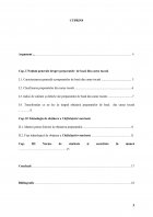 Atestat Tehnologia de obținere a preparatului Chifteluțe marinate - imaginea3