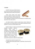 Atestat Rolul instrumentelor de percutie in orchestra simfonica moderna - imaginea18