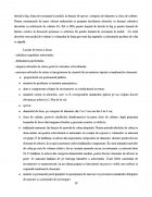Atestat Intocmirea unui act de punere in valoare la produsele principale - imaginea20