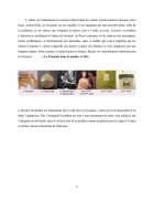 Atestat Les parfums français - imaginea8