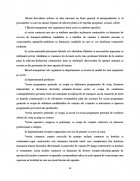 Atestat Agentia de turism Sirius - imaginea15