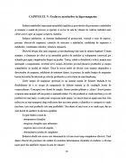 Atestat Tehnologia amenajarii hipermagazinelor - imaginea11