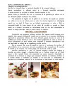 Atestat Tehnica servirii preparatelor de baza - imaginea9