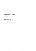 Atestat Marketing international - Politica de distributie la General Motors - imaginea2