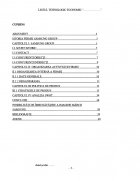 Atestat Politica de produs a companiei Samsung - imaginea2