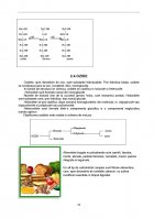 Atestat Rolul glucidelor in alimentatie - imaginea14