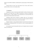 Atestat Comerțul electronic - imaginea7