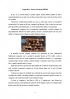 Atestat Caracteristicile de calitate si promovare a produselor zaharoase la SC Heidi SA - imaginea6