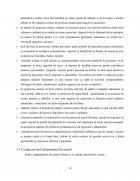 Atestat Reguli de igienă și norme de protecție a muncii în restaurante - imaginea14
