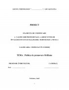 Atestat Politica de promovare Oriflame - imaginea1