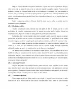 Atestat Machiaj de zi - imaginea20