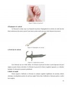 Atestat Aplicarea unghiilor cu gel folosind șablonul - imaginea17