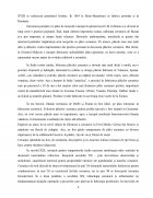 Atestat Materiale Ceramice. Porțelanul - imaginea11