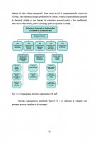 Atestat Managementul calitatii - imaginea54