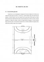 Atestat Jocul de handbal - imaginea6