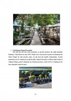 Atestat Turismul de litoral in Romania - imaginea22