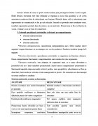 Atestat Tipuri de organigrame - imaginea7