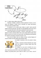 Atestat Managementul calitatii - imaginea25