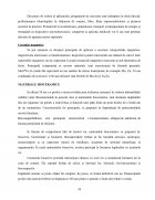 Atestat Materiale Ceramice. Porțelanul - imaginea28