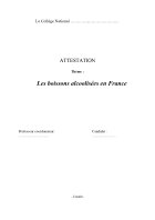 Atestat Les boissons alcoolisées en France - imaginea1