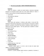 Atestat Etajera - imaginea4