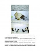 Atestat Locuinta unui artist - imaginea7