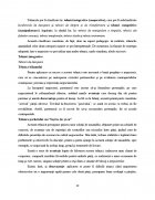Atestat Strategii  tactici si tehnici de negociere - imaginea11