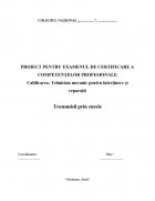 Atestat Transmisii prin curele - imaginea1