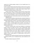 Atestat Tehnologia de obtinere a painii - imaginea19