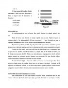 Atestat Transmisii prin curele - imaginea7