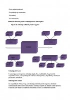 Atestat Tehnologia de obtinere a conservelor de legume congelate - imaginea15