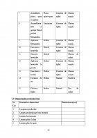 Atestat Elaborarea documentatiei tehnice pentru produsul camasa de noapte - imaginea18