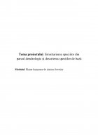 Atestat Inventarierea speciilor din parcul dendrologic și descrierea speciilor de bază - imaginea2